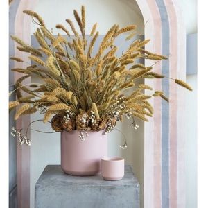 X S O L D X PINK POT 3.5in